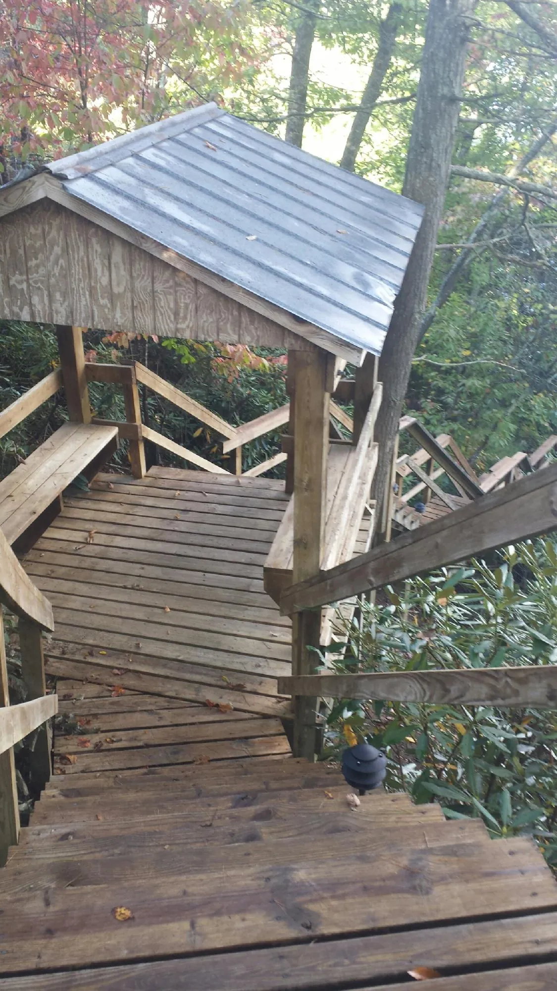Metal roofed shelter over wooden steps on a wooded walkway — Skylight Repair & Installation work by our crew in West Glacier