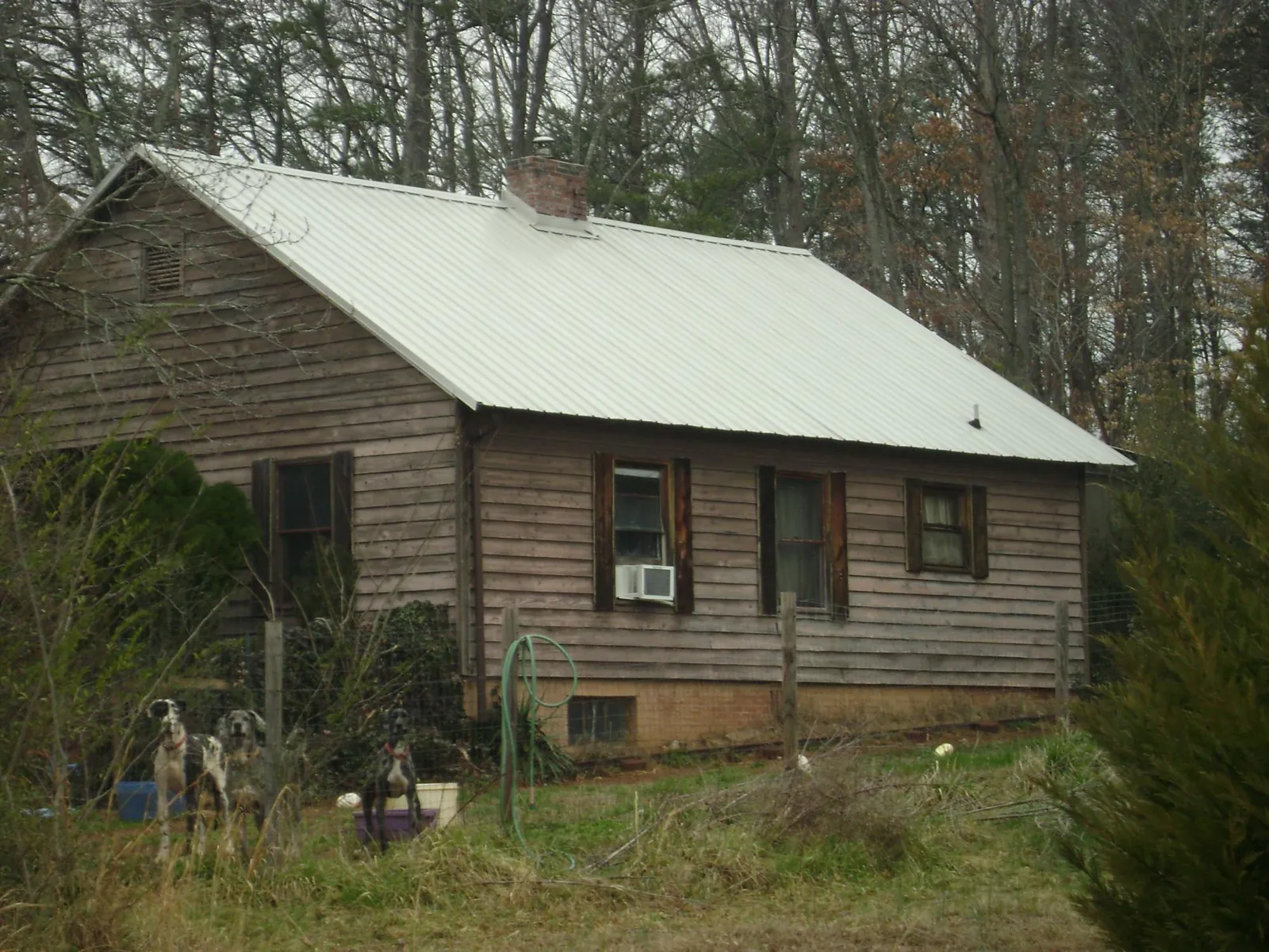 White metal roof on an old wood sided farmhouse, from a Metal Roof Installation job in West Glacier